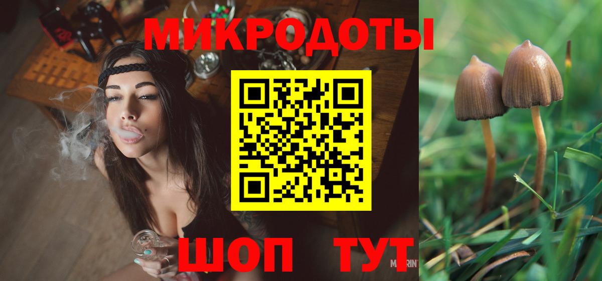 Псилоцибиновые грибы Psilocybine cubensis  Вход с VPN  Урус-Мартан  Псилоцибиновые грибы прущие грибы 